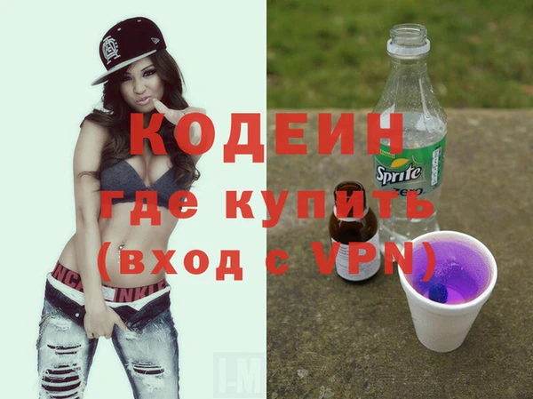 индика Анжеро-Судженск