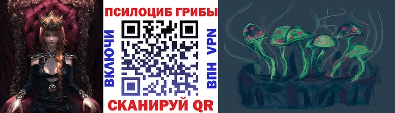 наркота  Фрязино  Псилоцибиновые грибы мухоморы 